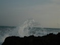 /album/galleria-fotografica/a11-jpg1/