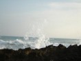 /album/galleria-fotografica/a12-jpg1/